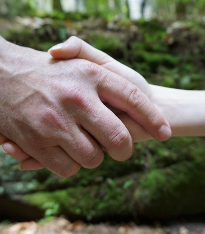 hand-shake-3369663_1280
