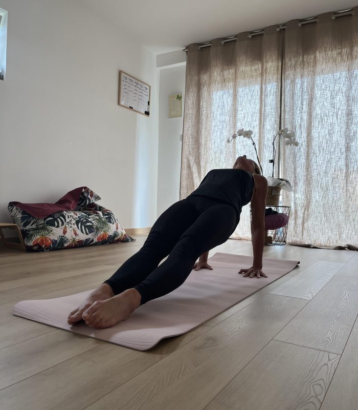posture de la planche inversée